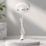powerplus 10a 2 way ceiling pull switch | white